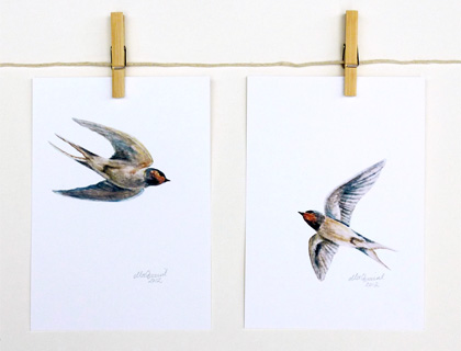 Swallow - a Blue Bird print by Ella Quaint