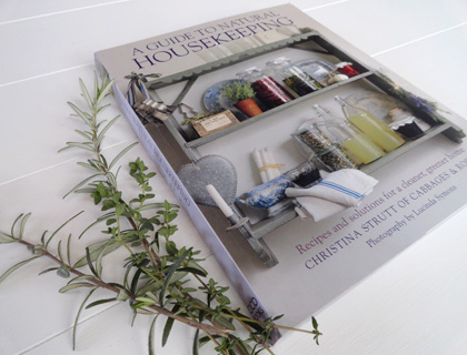 Cover of A Guide to Natural Housekeeping by Christina Strutt