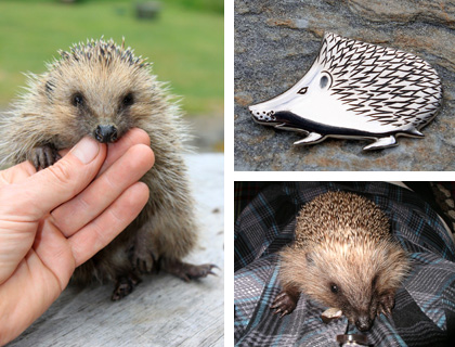 Harold the hedgehog, immortalised in sterling silver