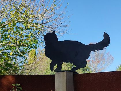 Cat on the Fence (mounted)