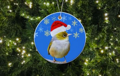 Cute bird Christmas Tree Decorations