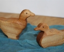 Wooden Ducks