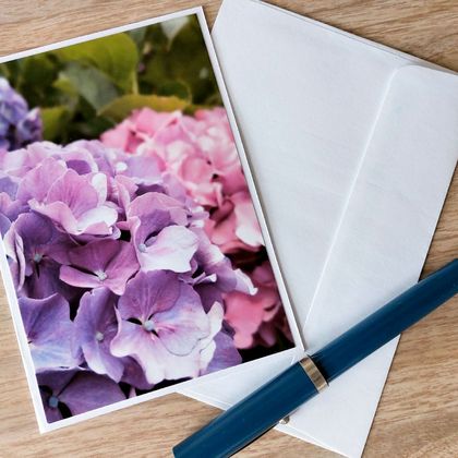 Greeting card - Photograph of hydrangea flowers