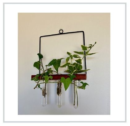 Hanging Propagation Station | Home Décor | Wall Art