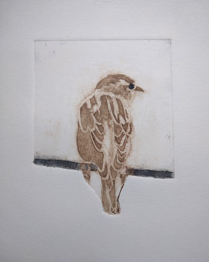 'Sparrow' - handprinted collagraph