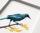 Tui, New Zealand bird, Geometric bird print, Original illustration