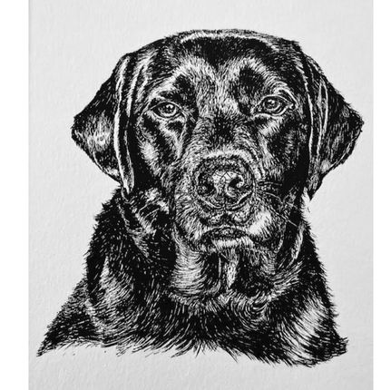 Personalised Pet Portrait Original Drawing