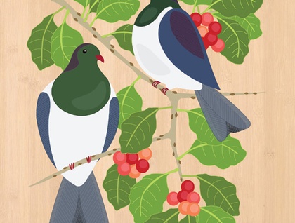 Kereru on Puriri - Native NZ Bird Art Print on bamboo veneer