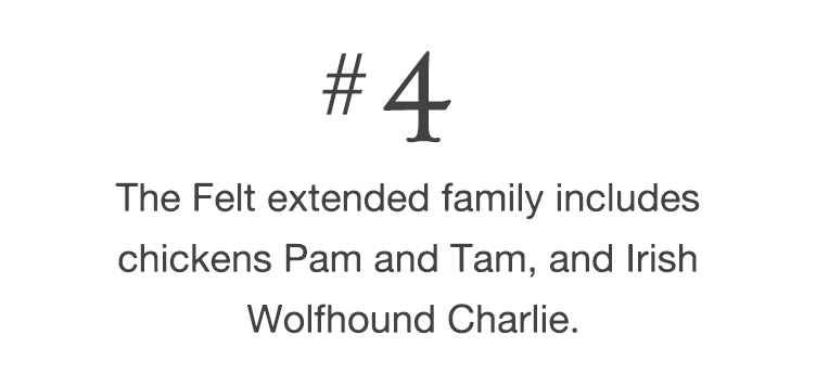 #4 The Felt extended family includes chickens Pam and Tam, and Irish Wolfhound Charlie.