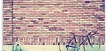 pinkbicycles