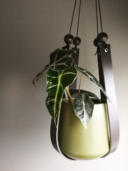 Hang'n - Leather Plant Hanger - Black