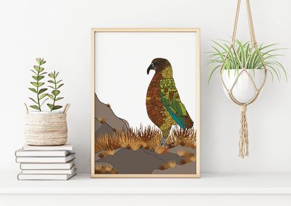 Kea New Zealand Bird Art Print for Wall Art