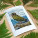 Kea Driver - Giclee Print - Unframed A3