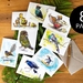Native Range Set of 8 - Greeting Cards