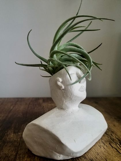 [SECONDS] Planter head