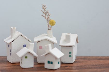 House box/vase with removable roof