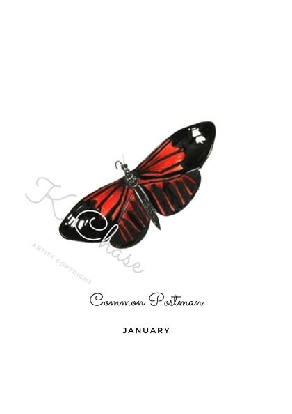 January Birth Butterfly Art Print