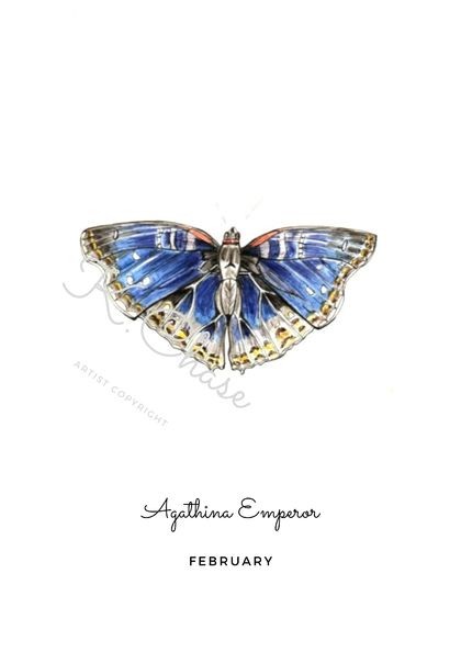 February Birth Butterfly Art Print