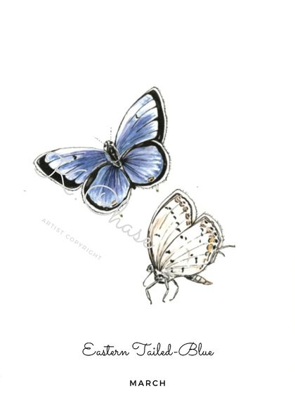 March Birth Butterfly Art Print