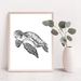 Turtle - A4 art print
