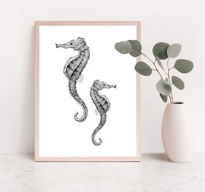 Seahorse - A4 art print