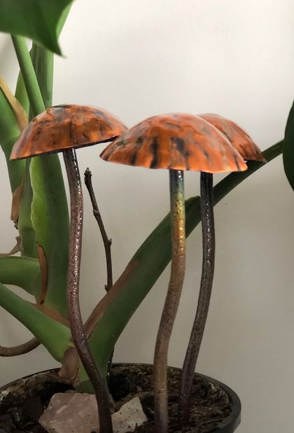 Orange Copper mushroom set of 3