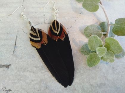 Black and Brown New Zealand Pheasant Earrings