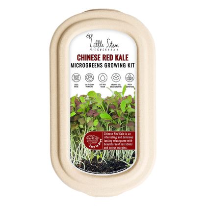 Microgreens Growing Kit - Chinese Red Kale