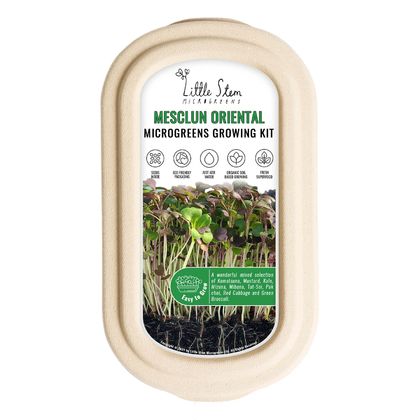 Microgreens Growing Kit - Mesclun Oriental