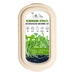 Microgreens Growing Kit - Komatsuna Spinach