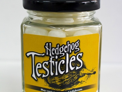 Hedgehog Testicles