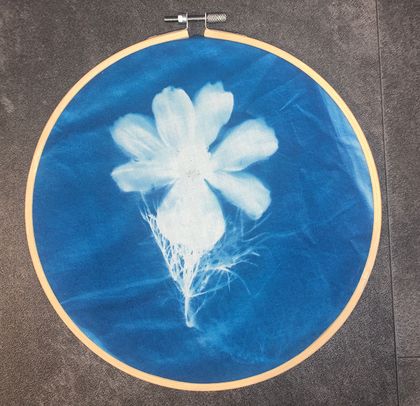 Cosmos flower cyanotype sun print on fabric