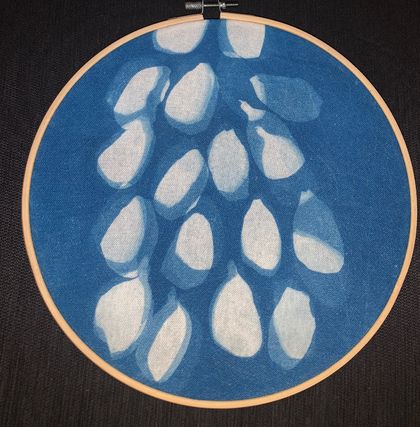 Chinese Lantern flower petals cyanotype sun print on fabric
