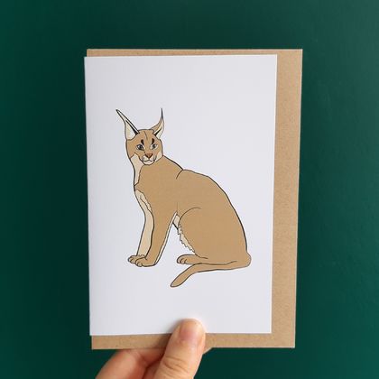 Caracal cat gift card
