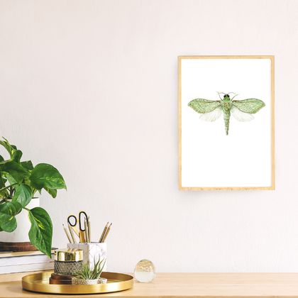 Pepe Tuna / Puriri Moth - an open edition fine art giclee print