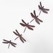 Ironweed SET OF DRAGONFLY NAILS