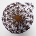 Ironweed DANDELION - Natural Rust