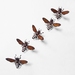 Ironweed SET OF BEE NAILS - small