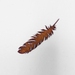 Ironweed FEATHER - small