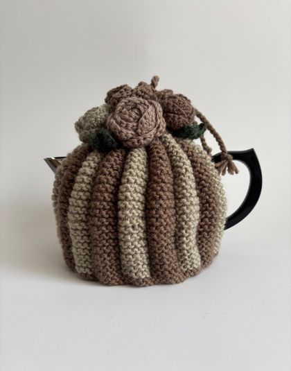 NZ Native Bird Inspired - Kiwi - Tea Cosy - Hand Knitted - Hand Crocheted - MelissaM