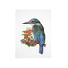 Mr Kingfisher A4 Archival Art Print