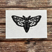 MINI PRINT ~ Subliminal Moth