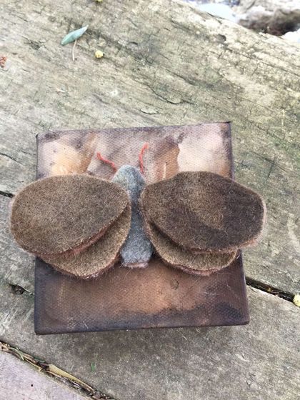 Rustic earthy folk charm - Hand dyed canvas and wool Moth