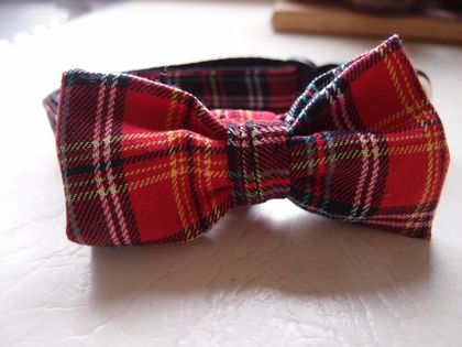 Hand made Tartan bow tie dog collar