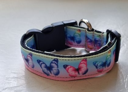 Handmade butterfly dog collar