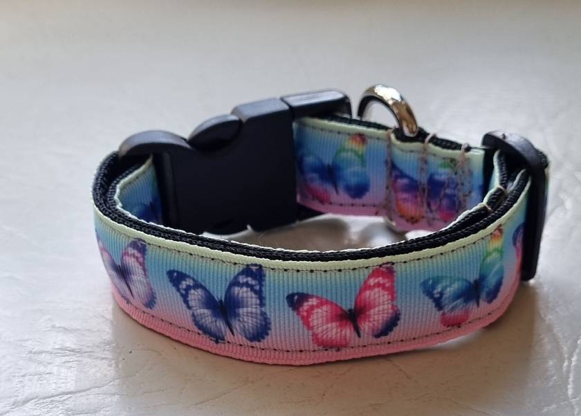 Butterfly best sale dog collar