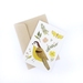 Greeting Card - Nature Finds - Yellow Bird