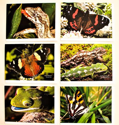 NZ nature greeting cards