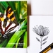 Forest Ringlet Butterfly A5 Journal