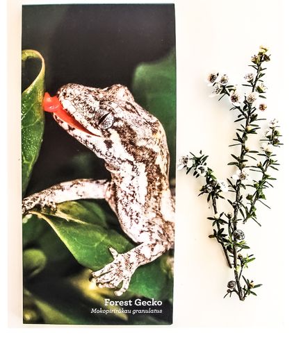 Forest Gecko Note Pad